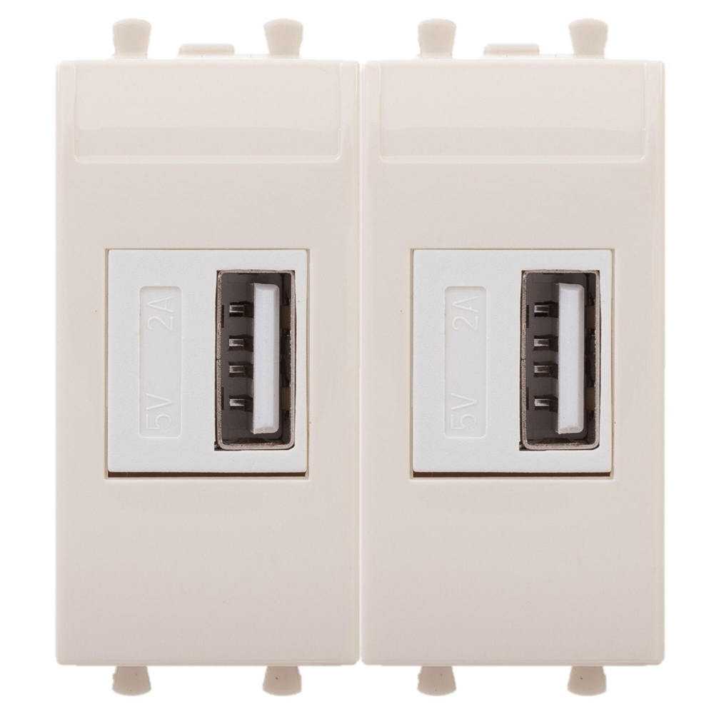 USB зарядное устройство модульное, "Avanti", "Ванильная дымка", 2 модуля