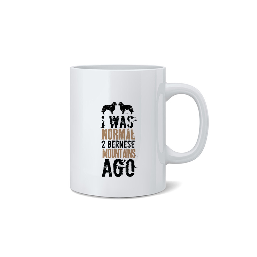 Кружка "Был нормальным 2 Берна назад"