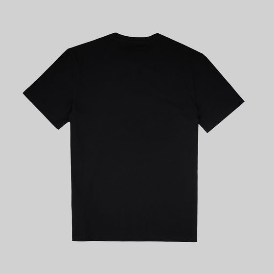Футболка мужская Napapijri Salis Short Sleeve Sum артикул:NA4H8D041 - купить в магазине Дайс