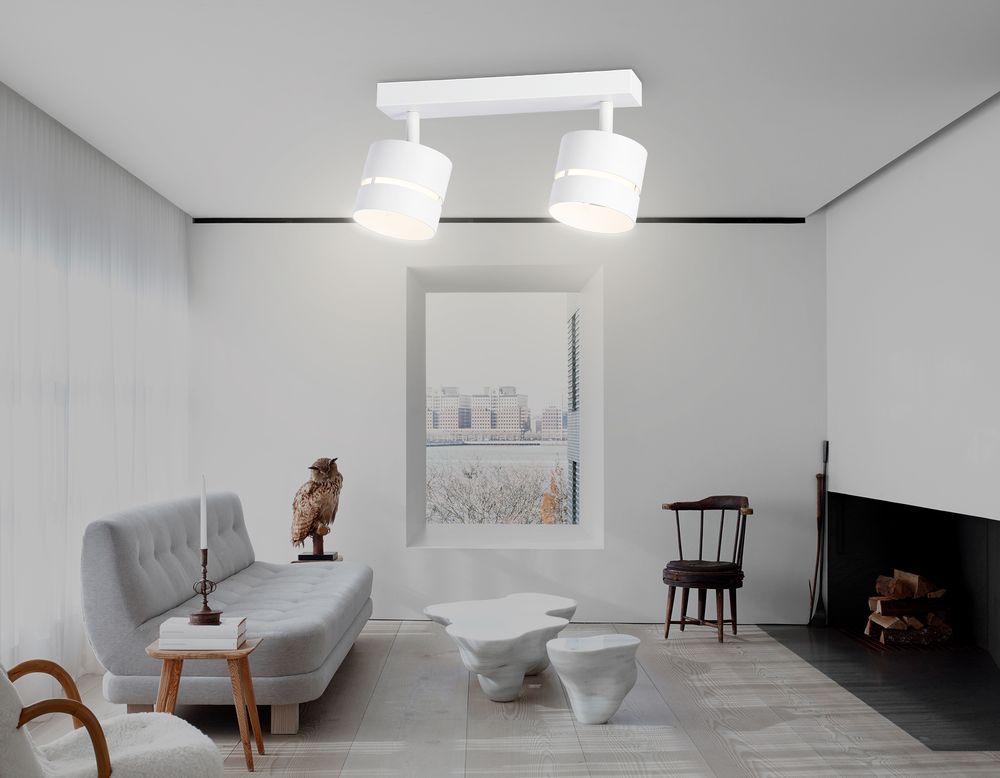 Ambrella Светильник накладной поворотный со сменной лампой GU10 Techno TN71058