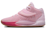 Кроссовки Nike Kd 14 Ep "Aunt Pearl" 14