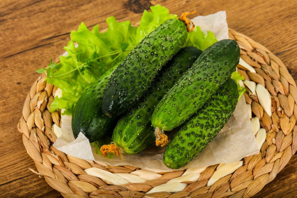 Огурец Сатина F1 7шт Мировые Семена VITA GREEN