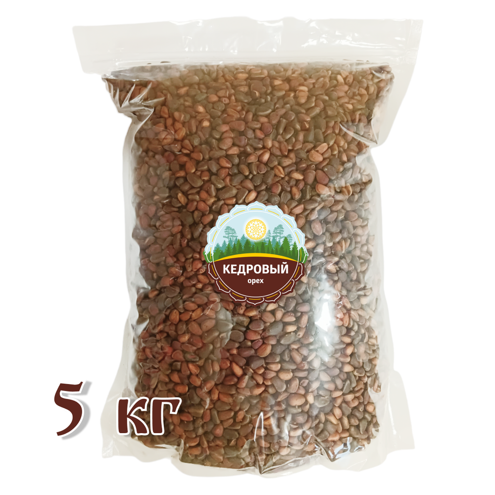 Орех кедровый Алтайский