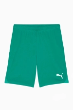 Шорты Puma teamGOAL - зеленый