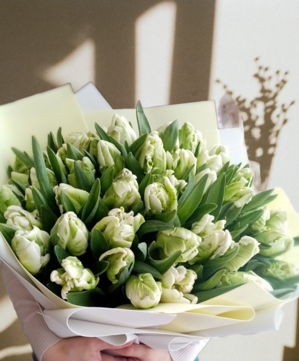 55 тюльпанов