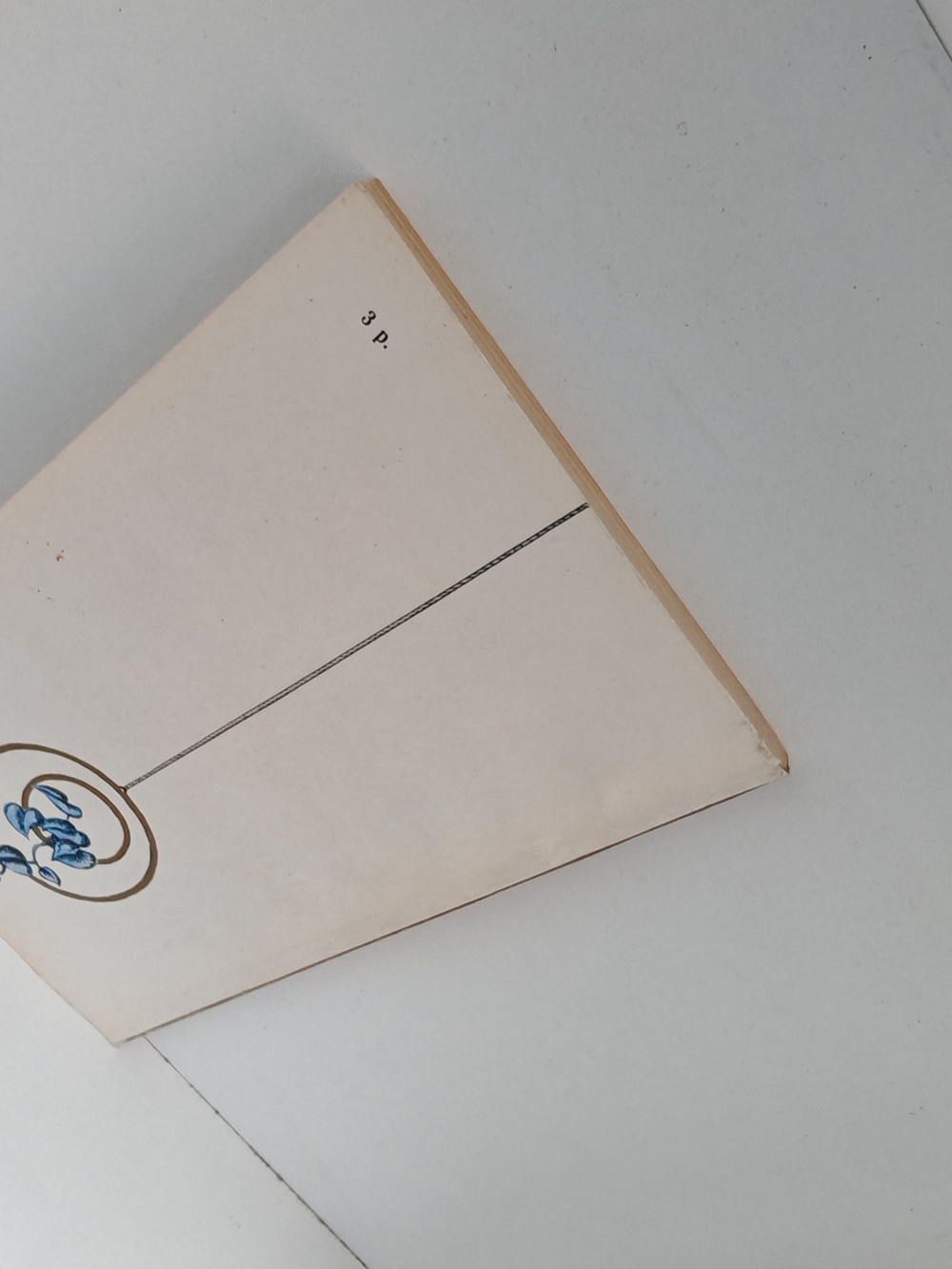 Комнатные растения и их использование в интерьере