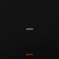  Лонгслив мужской Dickies Clancy Heavyweight  артикул:DK0A4Z4JBLK1 - купить в магазине Дайс