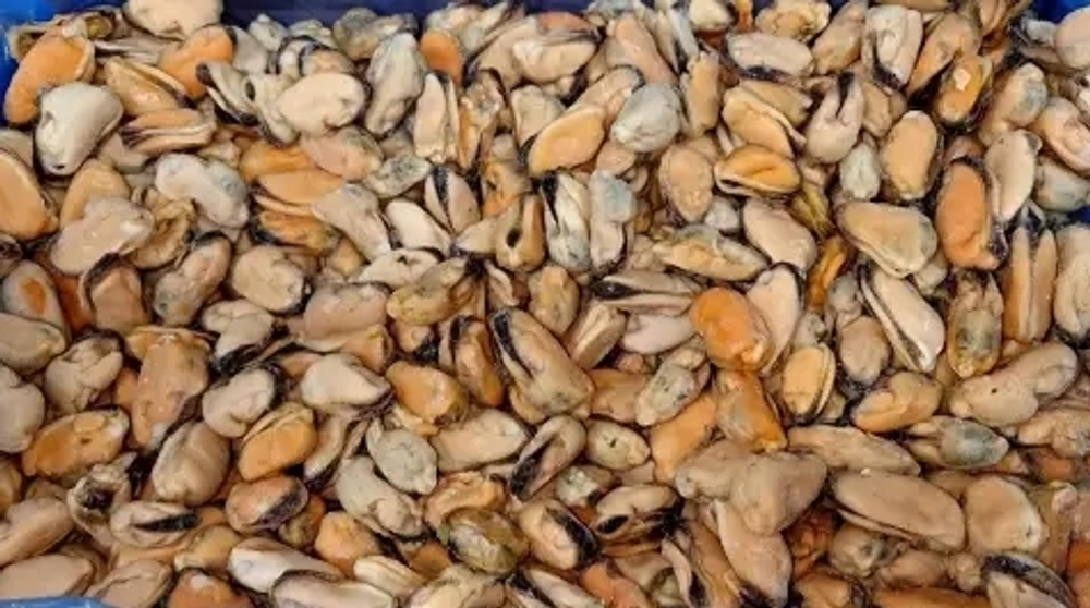 Мясо Мидии 200/300, 1кг