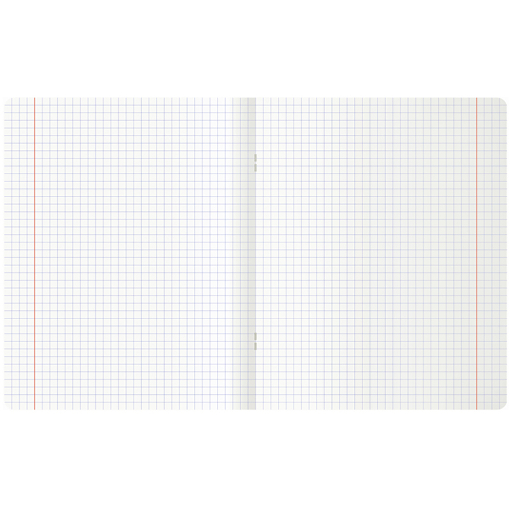 Тетрадь общая MESHU "Сhatty cat", А5, 48 листов в клетку, матовая ламинация, выб. лак, на скрепке