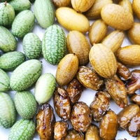 Кукамелон - Мексиканский Огурчик - Cucamelon