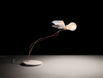 Table design lamp  Lucellino by Ingo Maurer