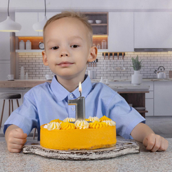 Свечи-цифры Серебряные, 8 см.