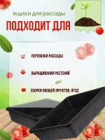 Ящик под рассаду Садовит №3 35х29х9,5см *4шт