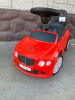 Игрушка несущая массу тела ребенка VAS-20 красный Артикул: VAS-20/3