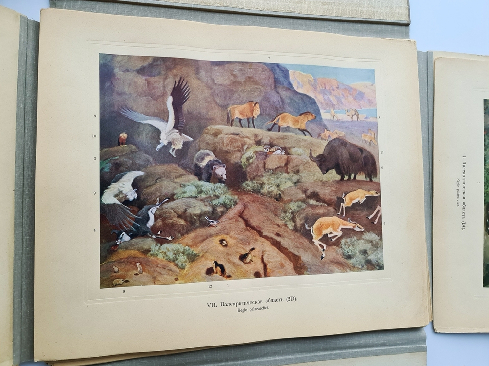 "Зоогеографический атлас". М.А. Мензбир. 1912 г. - редкая книга
