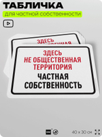 Табличка для частной территории "Здесь не общественная территория, частная собственность", на дом, для участка, организаций, предупреждающая, 40х30 см, Silver Plane x Айдентика Технолоджи