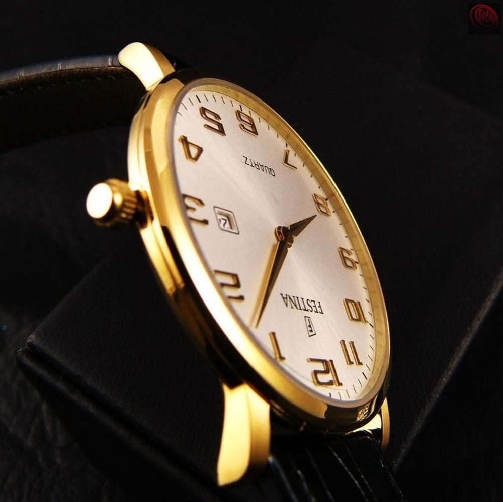 Мужские наручные часы Festina F16478/2