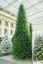 Большая елка «Алтайская» ED (Литая хвоя) от 3,5 м до 6 м