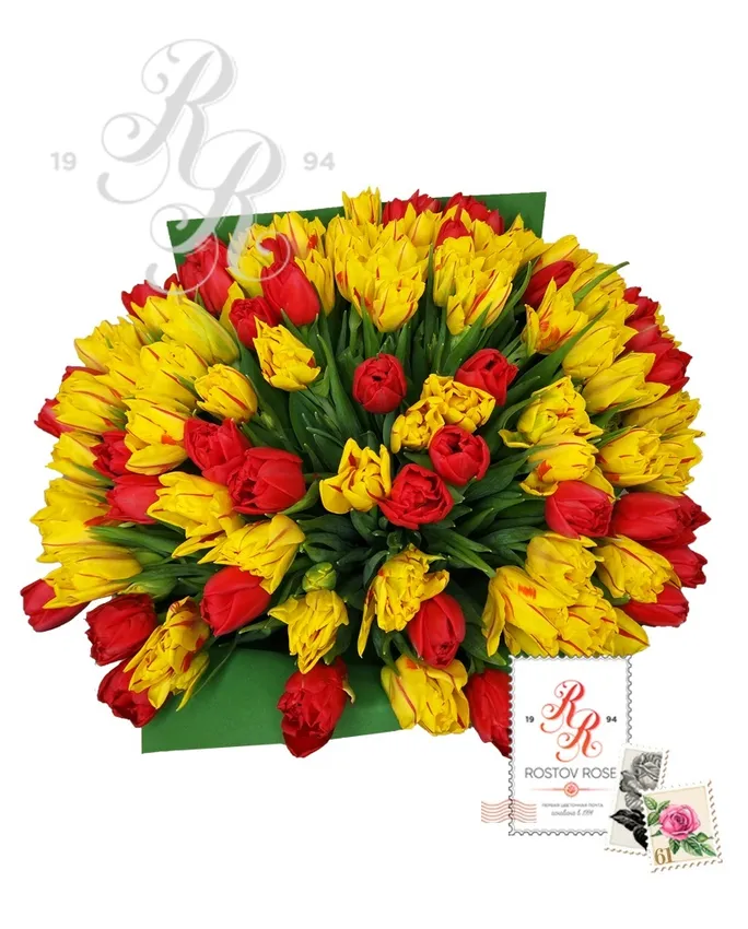 51 Пионовидный тюльпан красно-желтый микс