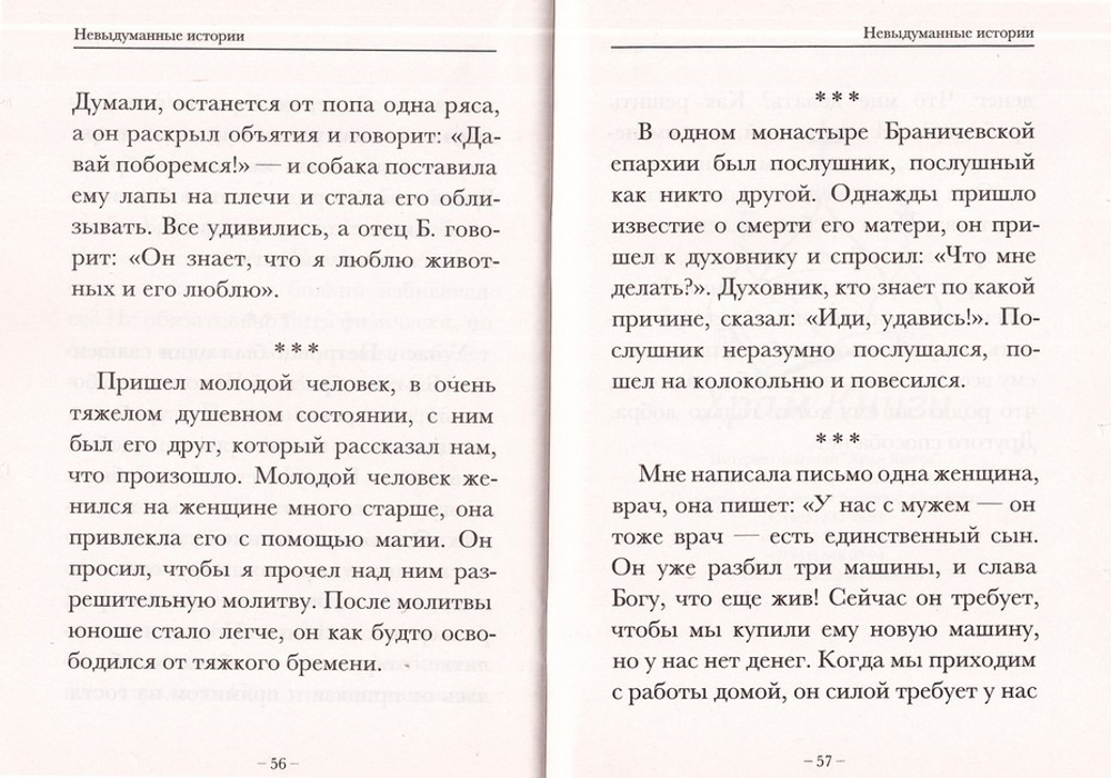 Зерна добромыслия. Архимандрит Фаддей (Витовницкий)