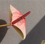 Серьги конго с белым жемчугом