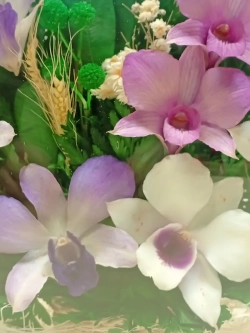 натуральные цветы в стекле, вакуум