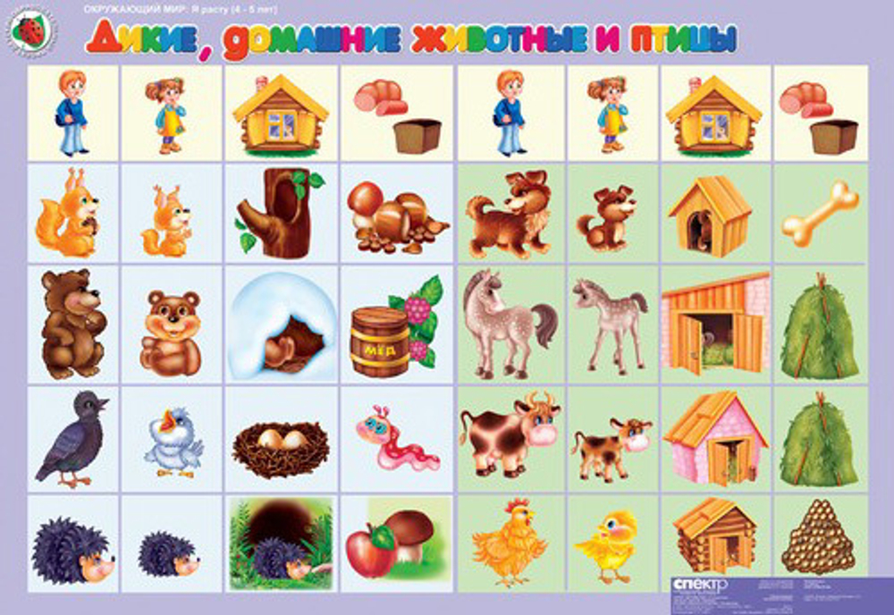 Комплект таблиц Окружающий мир 4-5 лет. "Я расту". (11 таблиц+16 карт.)