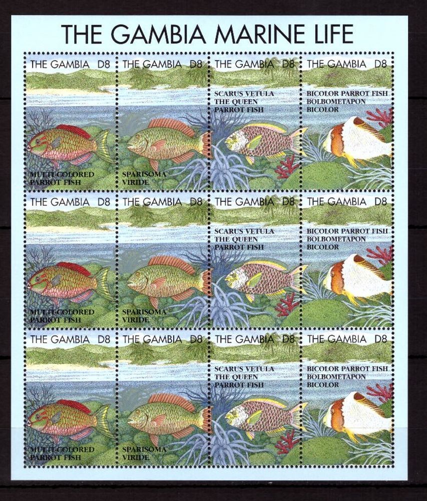 Гамбия, 1995. Морская фауна, рыбы -  гуакамайя, цетоскар, рыба-попугай (мл)