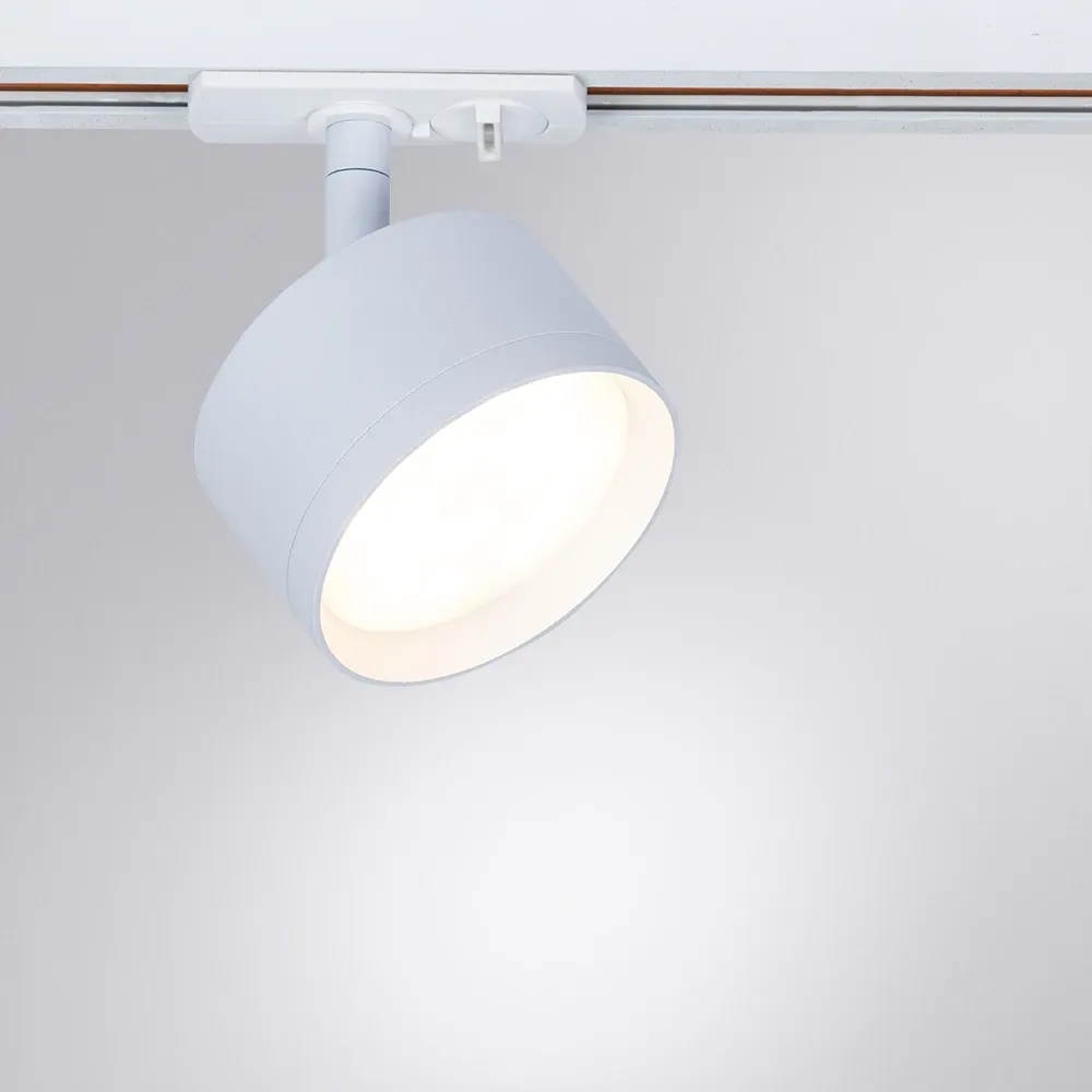 Трековый светильник Arte Lamp INTERCRUS