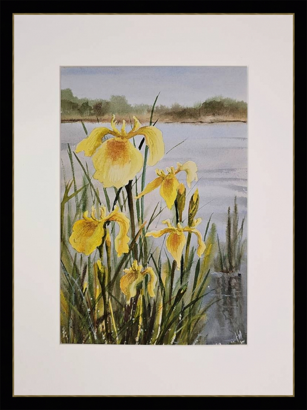 Картина авторская акварельная в паспарту 30х40 см на стену для интерьера "Прибрежные ирисы"