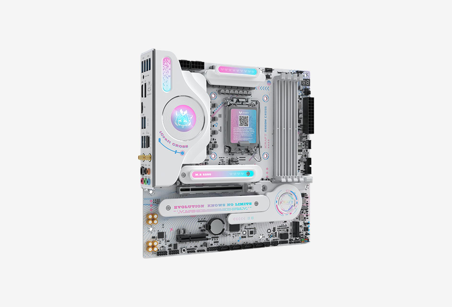 MS-iCraft B860M CROSS_0226529100655