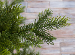 Ель TreeDeLuxe Датская 100% литая 260см зеленая