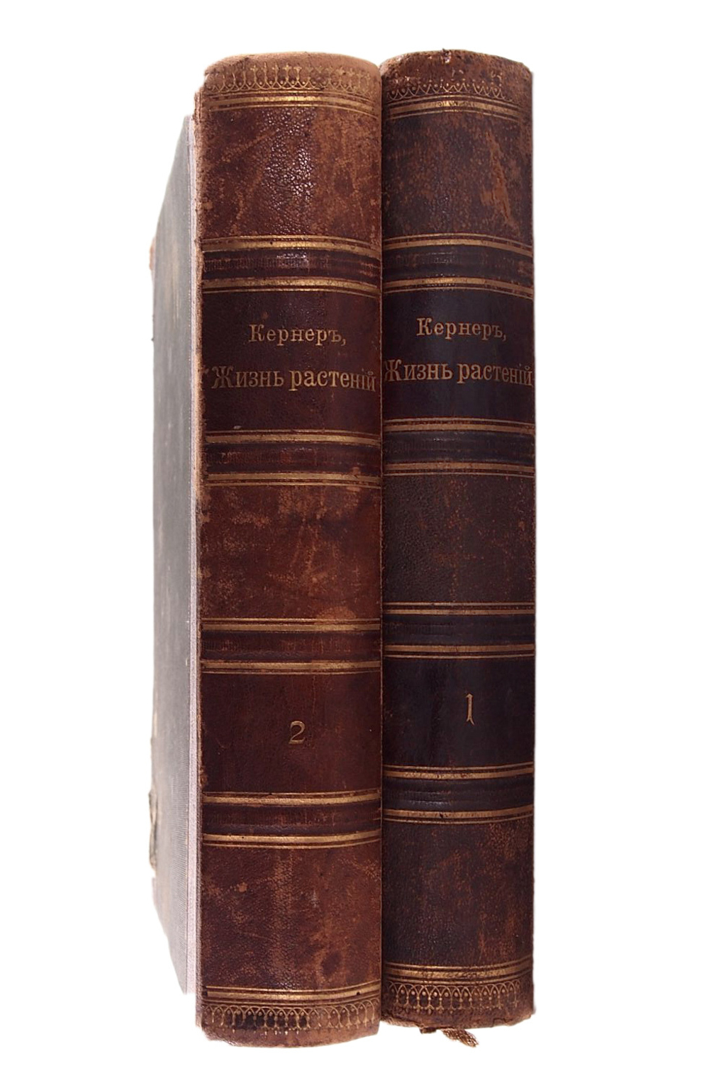 Кернер А. Жизнь растений, в 2-х т., СПб., Просвещение, 1901-1903г.