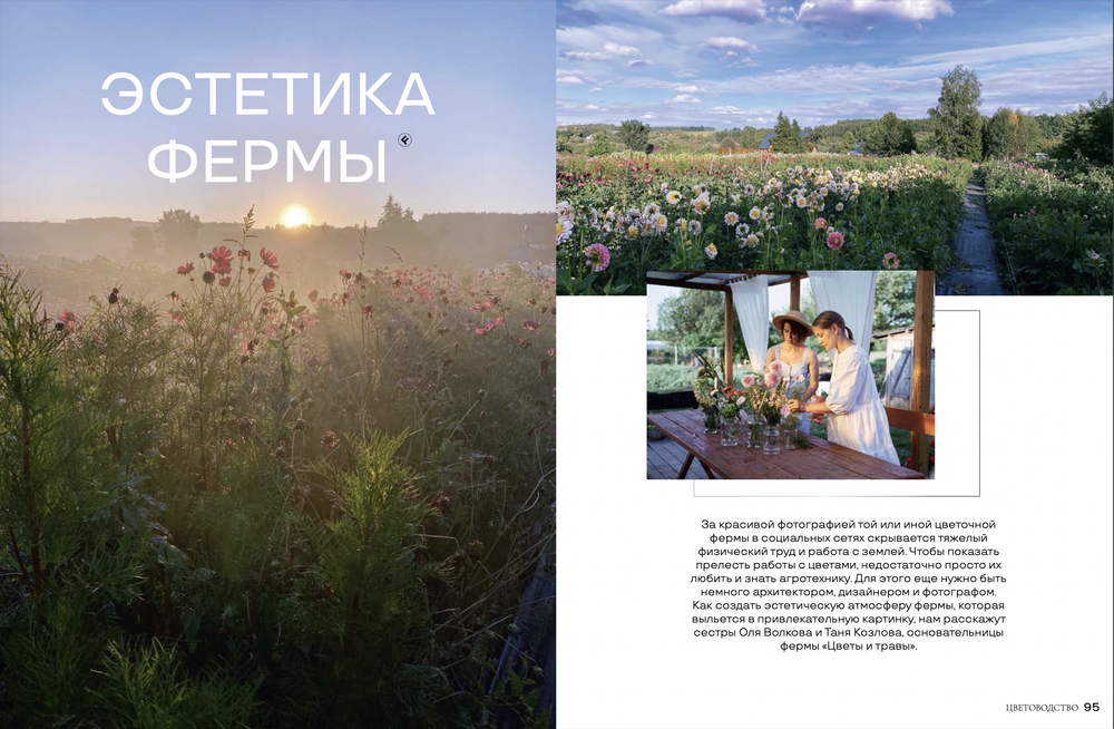 Цветоводство ЛЕТО 2023