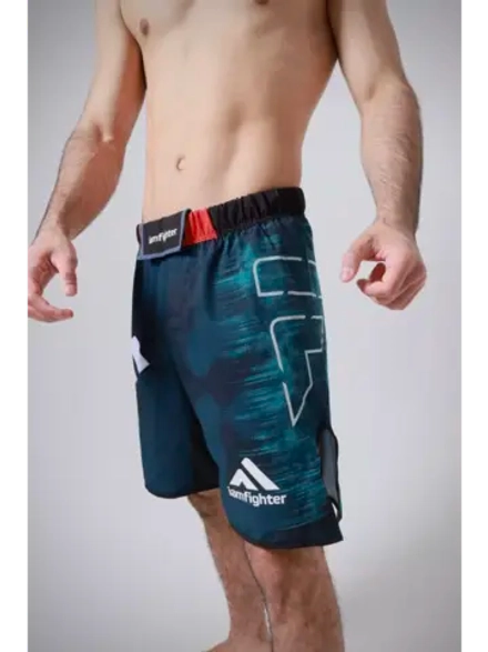 Шорты спортивные мужские для единоборств mma