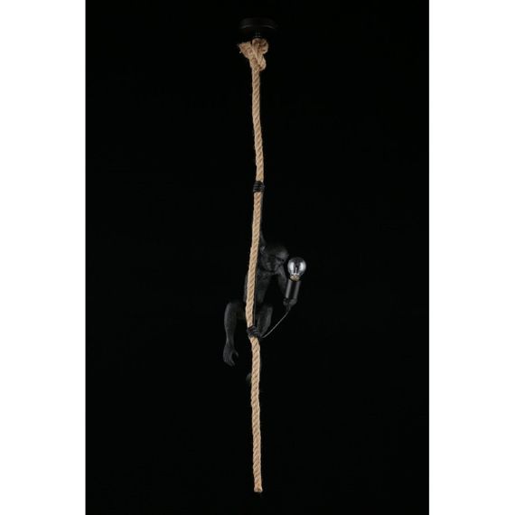 Подвесной светильник Aployt Magali APL.309.16.01