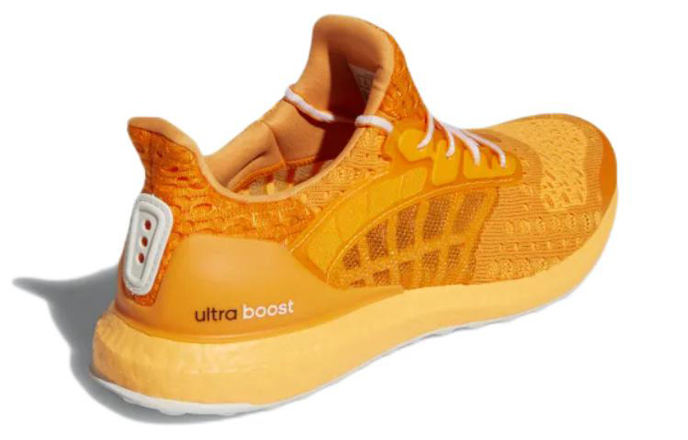 Кроссовки Adidas Ultraboost Climacool 2 Dna