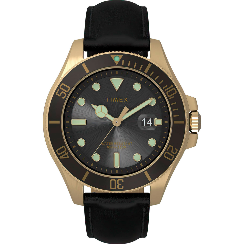 Мужские наручные часы Timex TW2V42200