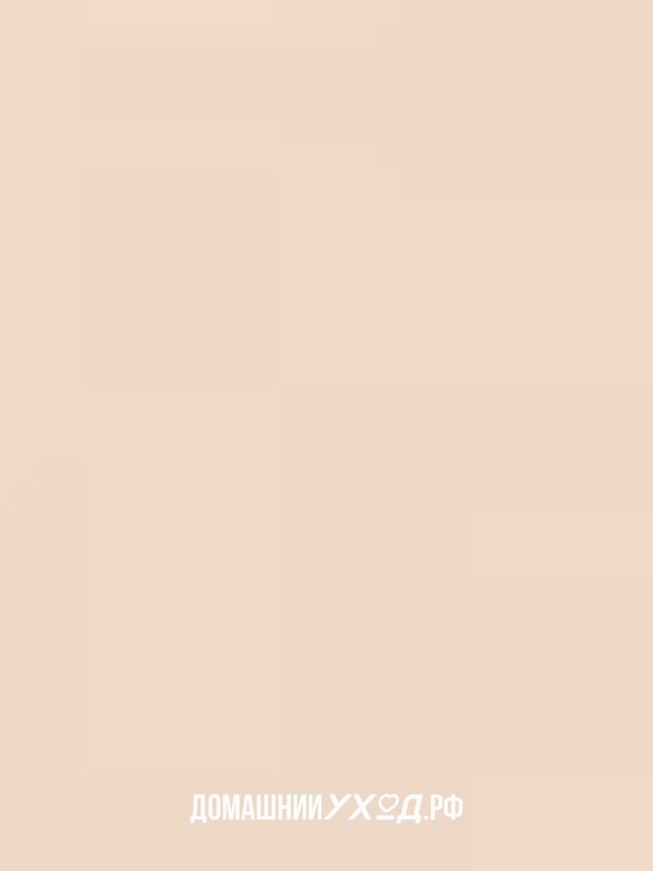 Тональный кушон увлажняющий (тон 21) Moist Layer Cushion, YU-R, 25 гр