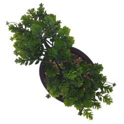 GAEM Цветочная композиция "Бонсай", L24 W14 H26 см, 2в.