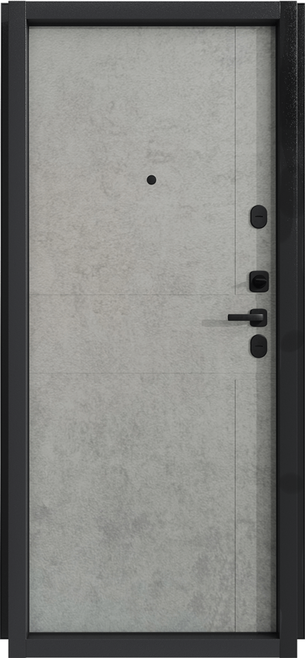 Дверь входная Дели