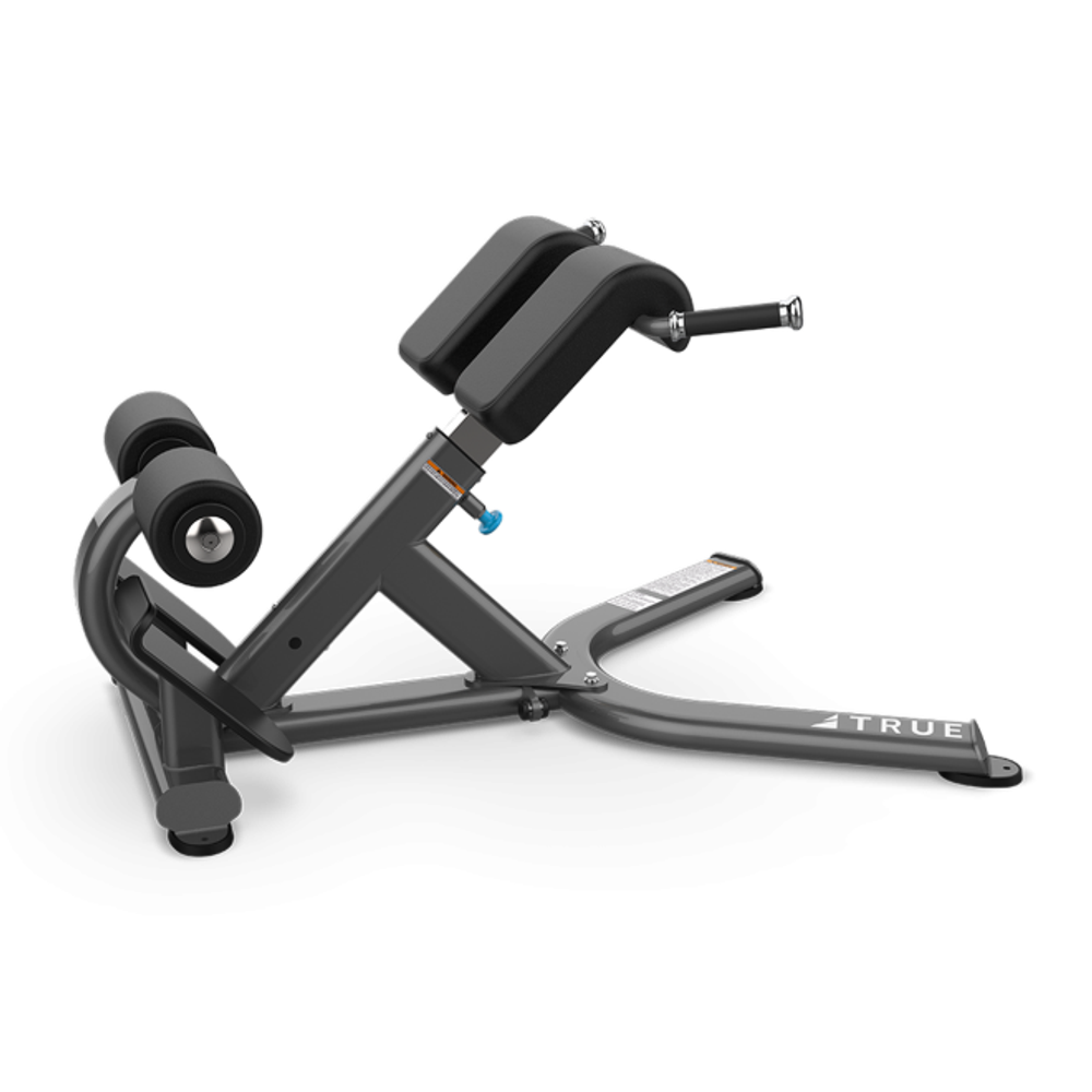 Разгибание спины TRUE FITNESS (PARAMOUNT) XFW5600-19