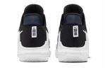 Кроссовки Nike Witness 6 Lebron Ep