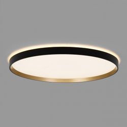 Накладной светильник Citilux ETALON CL750501R