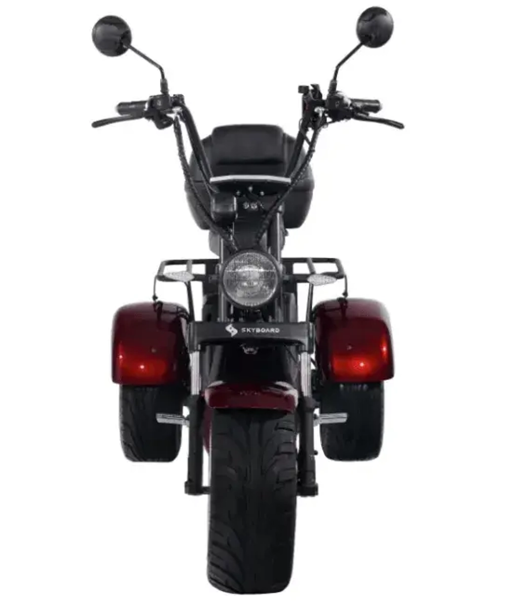 Электроскутер SKYBOARD CITYCOCO TRIKE BR80