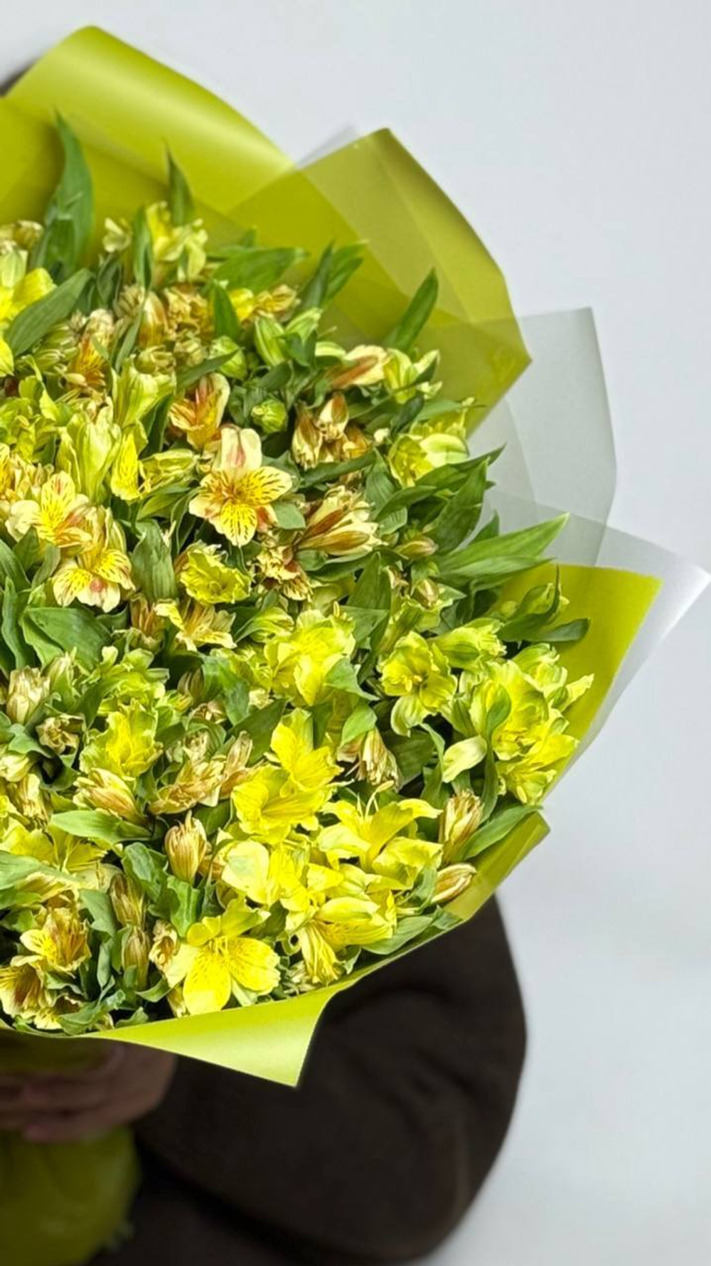 Цитрусовое настроение