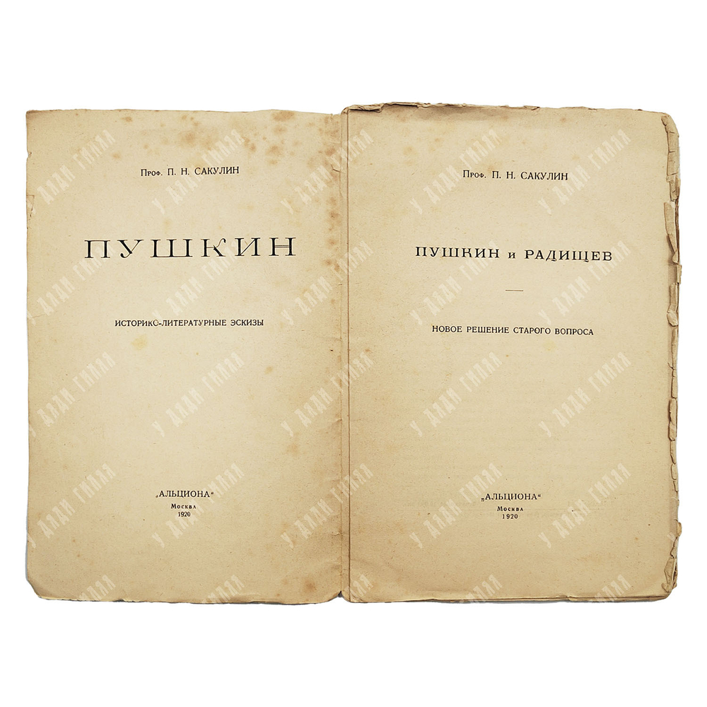 Сакулин П. Н. Пушкин и Радищев. Новое решение старого вопроса. 1920