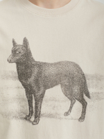 Мужская Футболка Kelpie