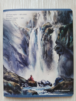 Тетрадь 48 листа А5+. "Искусство Японии", общая, клетка. Формат А5+ (163*203 мм). Арт.120044. С полями. Комплект 5 шт.