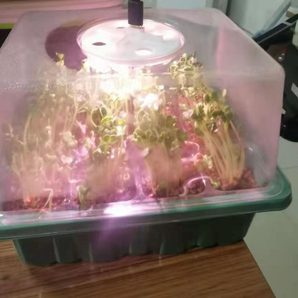 Стартовый лоток для семян 12 ячеек PET